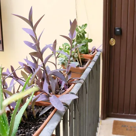 New, True-stevere Amazing Double Bed For 5 Pax